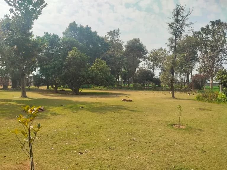 Garden 28 Pataudi, Sector 4, Pataudi