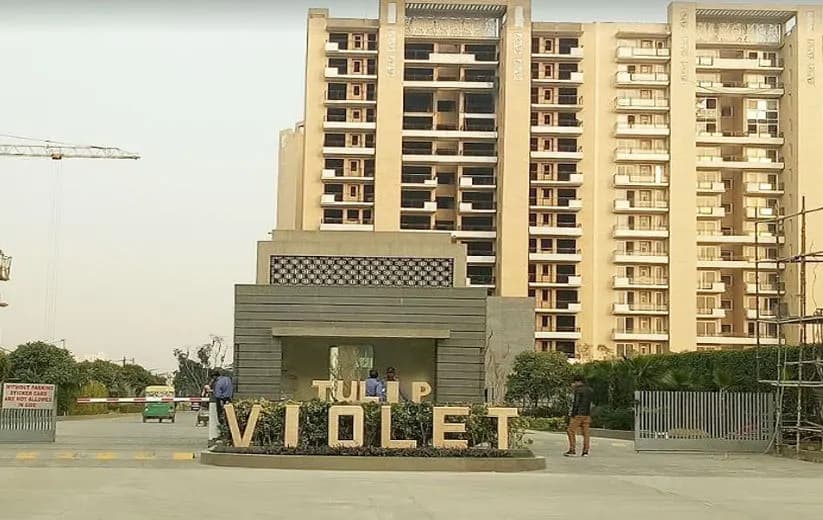 Tulip Violet, Sector 69, Gurugram
